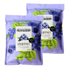 웰루츠 A등급 냉동 블루베리 1kg + 1kg, 2개