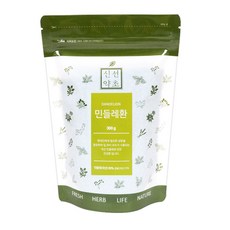 신선약초 민들레환