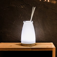 허브타임 LED 화병 디퓨저 M 리뷰후기