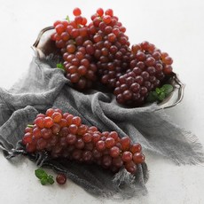 산내 고향 포도 GAP 인증 델라웨어 리뷰후기