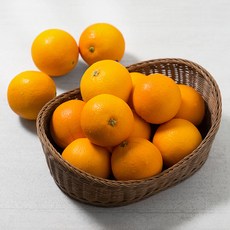 PSK 주산 네이블 오렌지 리뷰후기
