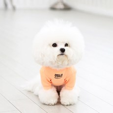 이츠독 네온 세미 크롭티