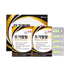 유유제약 모가팔팔 골드 리뷰후기