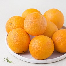 미국산 카라카라 오렌지, 2.5kg, 1개