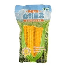 타다 바로먹는 스위트콘 옥수수, 600g, 1개