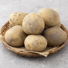 2024년 최고의상품  감자 후기_국내산 감자(햇), 1kg, 1개
