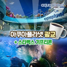 [광교] 아쿠아플라넷 광교 입장권 아쿠아리움스타벅스 카페 아메리카노 기프티콘 쿠폰(~6/30)