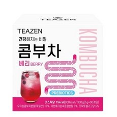 티젠 콤부차 베리