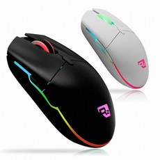 RIZUM G-FACTOR Z100 RGB PRO 화이트 GAMING MOUSE 리뷰후기