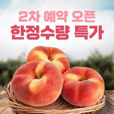 [예약판매 할인] 거반도 납작복숭아 당도선별, 1개, 1kg