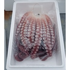 구룡포 참문어 자숙 리뷰후기