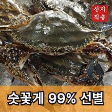 신속발송 산지직송 국내산 제철 꽃게, 1개, 당일조업 숫꽃게 2kg