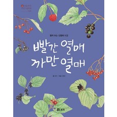빨간 열매 까만 열매:펼쳐 보는 산열매 도감, 보리출판사, 보리 편집부