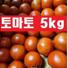토마토5kg( 정품(크기랜덤), 1개, 토마토(5kg)