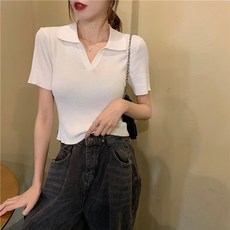 카라 반팔 니트 스웨터 티셔츠 21001
