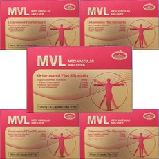 네이쳐스탑 MVL 폴리코사놀 20mg 30정 실리마린 5개 백화점 상품권, 1개