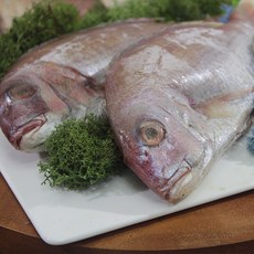 전복이장 반건조생선 도미 2마리