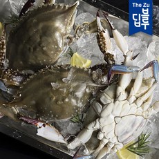 산지직송 국내산 제철 서해안 봄 알배기 활 암 꽃게 리뷰후기