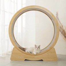 Starwayer-캣휠-무소음-캣워크-고양이-운동기구-3세대-M-90*34*95cm