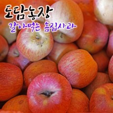 경북사과 갈아먹는 흠집사과 크기랜덤 리뷰후기