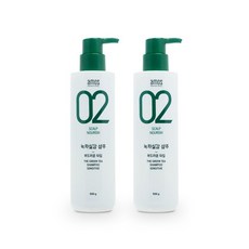 아모스 녹차실감 샴푸 민감성 500g 1+1, 2개, 500g x 2개