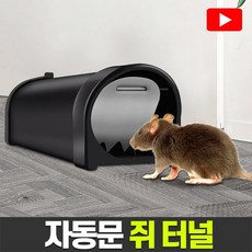 월드그린 자동문 쥐터널