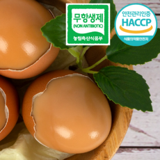 영양가득 한입 쏙 구운계란 구운란 리뷰후기