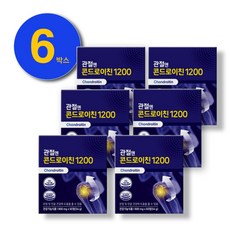 관절엔 콘드로이친 1200 관절연골영양제 5/6개월 리뷰 후기