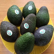 때깔찬 아보카도 대과 /개당 220g 내외/ 2개 구매시 4개 추가증정, 대과 10개 (개당 220g내외) 아보카도