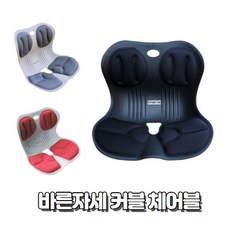 2021년 New 이잼 커블 체어블 자세교정의자 자세보정 허리받침 좌식의자 리뷰 후기