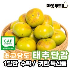 따봉프레시 고당도 태추단감 귀한품종 딱1개월 수확 리뷰후기