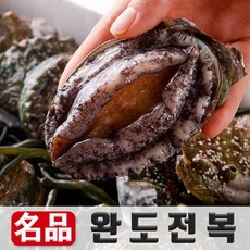 산소포장 완도 활 전복 양식장 특대 꼬마 직거래 산지직송 리뷰후기