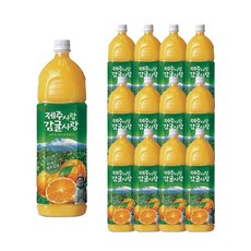 롯데칠성음료 제주사랑 감귤사랑 주스, 1.5L, 12개