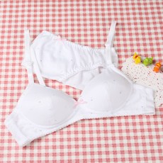 1048 핑크뿅뿅 샤통 2단계 브라 / 팬티