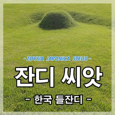 광림아그로 한국잔디씨앗 잔디씨 산소 정원 공원 들 종자 묘지 리뷰후기