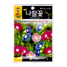 나팔꽃씨앗 나팔꽃 씨앗 꽃씨앗