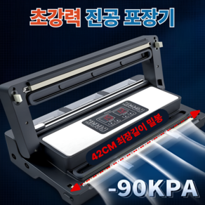 데일리키친 초강력 진공포장기 업소용 건습식 밀봉기 진공포장기계, PW-420, 1개
