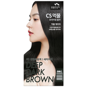 꽃을든남자 CS먹물 프리미엄 칼라크림 일반염모제, N2 진한흑갈색, 1개