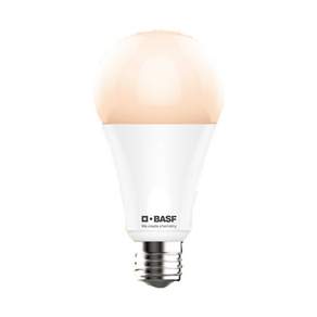 BASF 巴斯夫 10W LED燈泡 E27 2700K, 黃光 燈泡色, 1個
