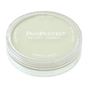 PANPASTEL Shinhan Painting Pastel CHROM Oxide GREEN TINT 660.8 9ml, 1 種顏色, 1個