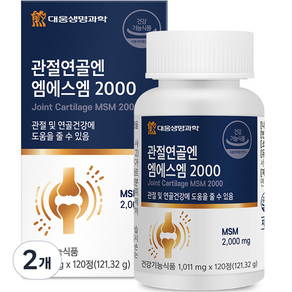 大熊生命科學關節軟骨 N MSM 2000, 120顆, 2個