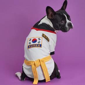 DOG-I 寵物跆拳道服, 黃帶