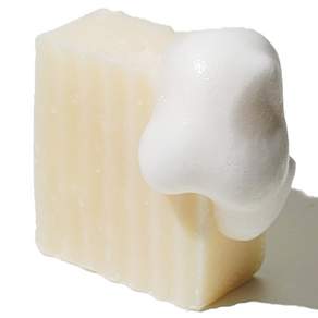 UGLY SOAP 寵物用椰子油香皂, 100g, 1個