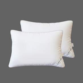 Lintton 可水洗3D立體枕芯, 白色, 2入