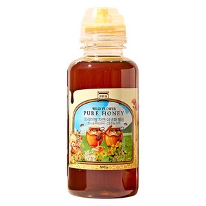 정원담 프리미엄 자연 야생화 순수 벌 꿀, 1개, 500g