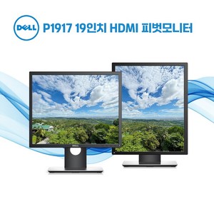 DELL 델 19인치 LED 모니터 P1917S IPS패널 HDMI지원 서브모니터 노트북 보조 피벗모니터, P1917, 48cm