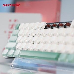 GATERON Low Profile Dye-Sub PBT Full Keycap Set Nature Series, Oasis, 적축