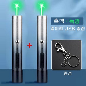 레이저 USB충전 사필 교학 공사 지휘 빔 휴대용 멀티 손전등 녹색빛, 2개, 화이트