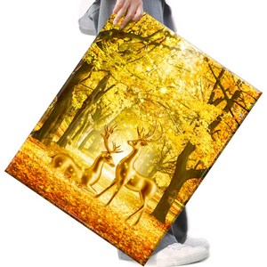 FASEN 액자 보석십자수 캔버스형 DIY 키트 40 x 50 cm, FAN59, 1세트