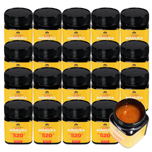 와일드네이처 마누카꿀 MGO 520+ UMF15+ 동일수치, 20개, 250g
